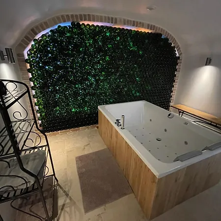 La Nuit Etoilee Chez Champagne Mathelin Dom wakacyjny Mareuil-le-Port