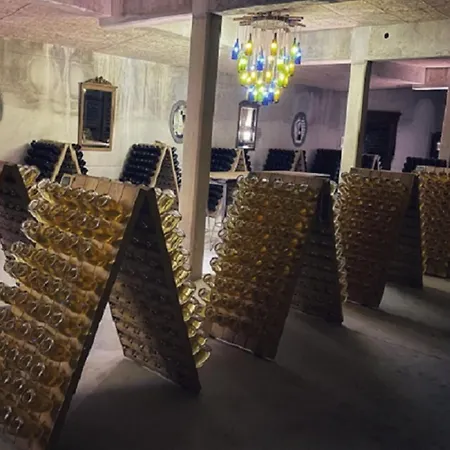 La Nuit étoilée Chez Champagne Mathelin Сasa de vacaciones *